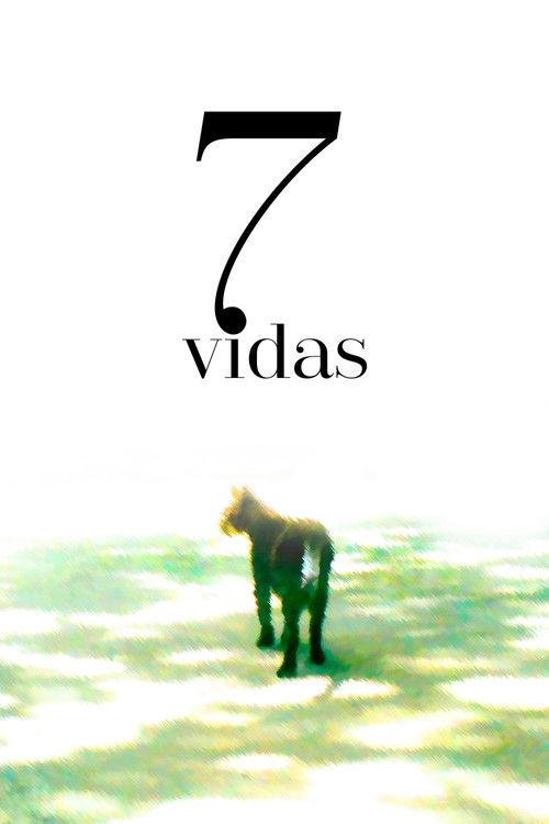 7 Vidas film afişi