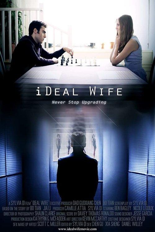 iDeal Wife film afişi