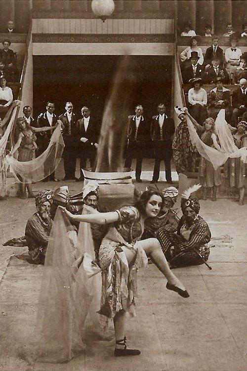 Des Lebens ungemischte Freude film afişi