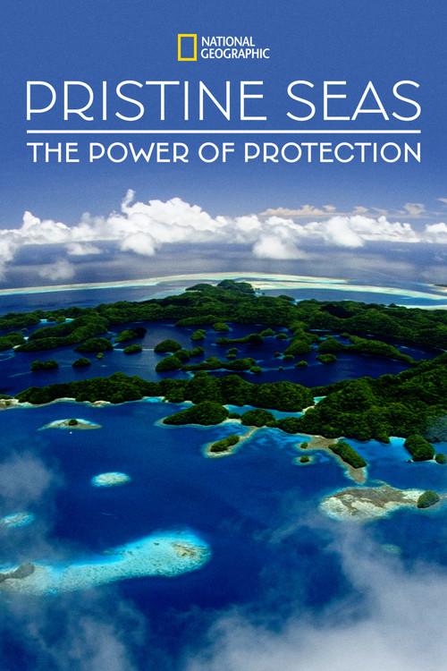 Pristine Seas: The Power of Protection film afişi