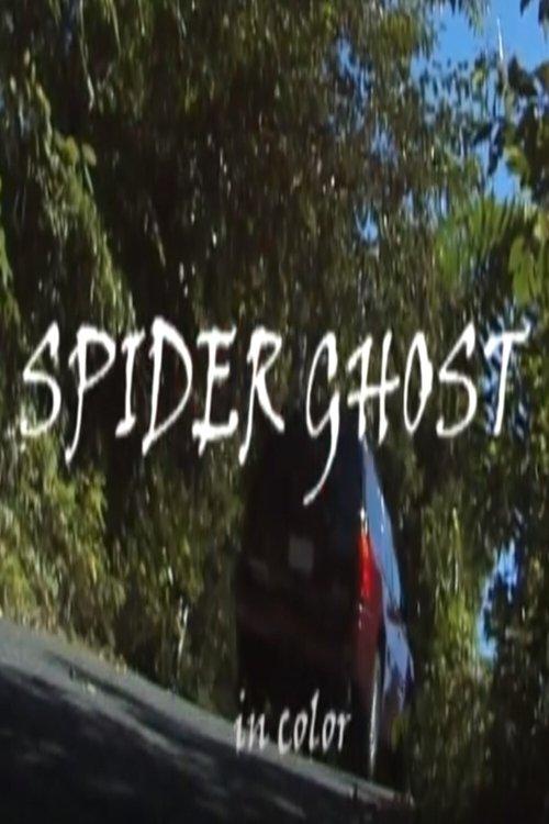 Spider Ghost film afişi