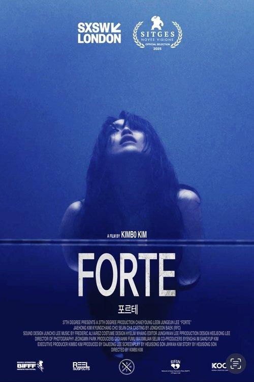 Forte film afişi