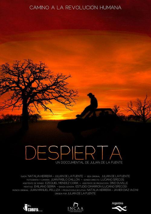 Despierta film afişi