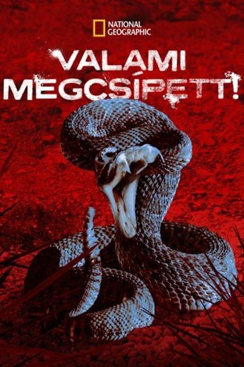 I Was Bitten dizi afişi