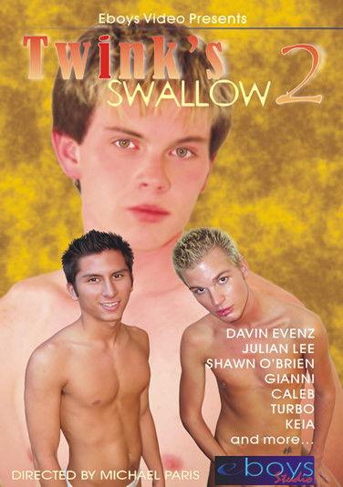 Twink's Swallow 2 film afişi