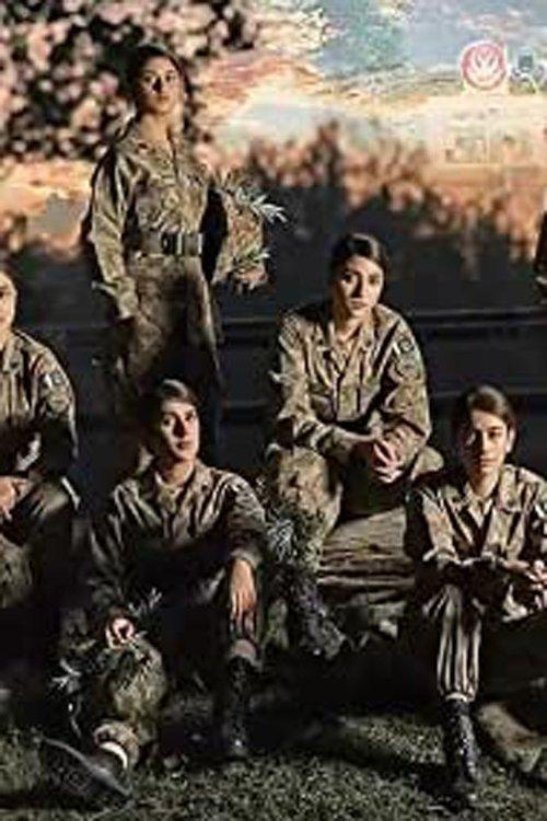 Sinf-e-Aahan dizi afişi