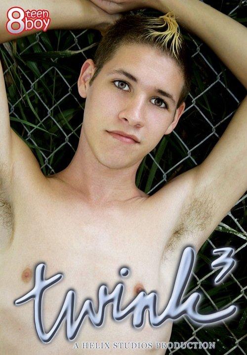 Twink 3 film afişi