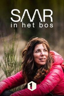 Saar in het bos dizi afişi