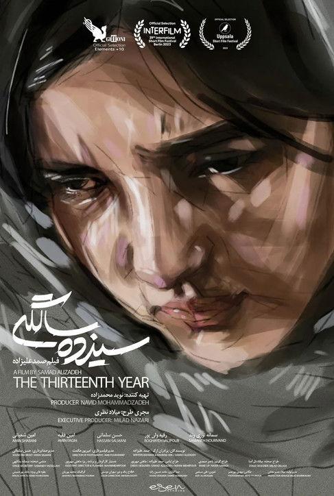 The Thirteenth Year film afişi
