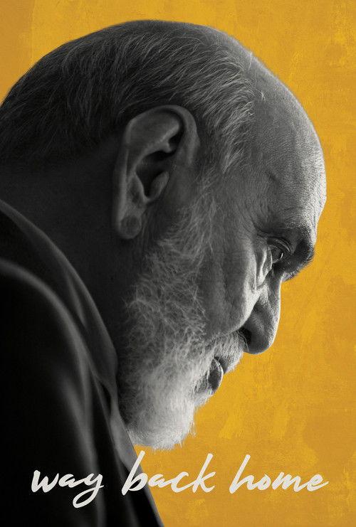 Way Back Home film afişi