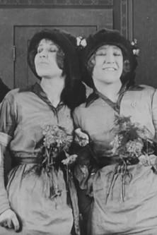 Mixed Identities film afişi