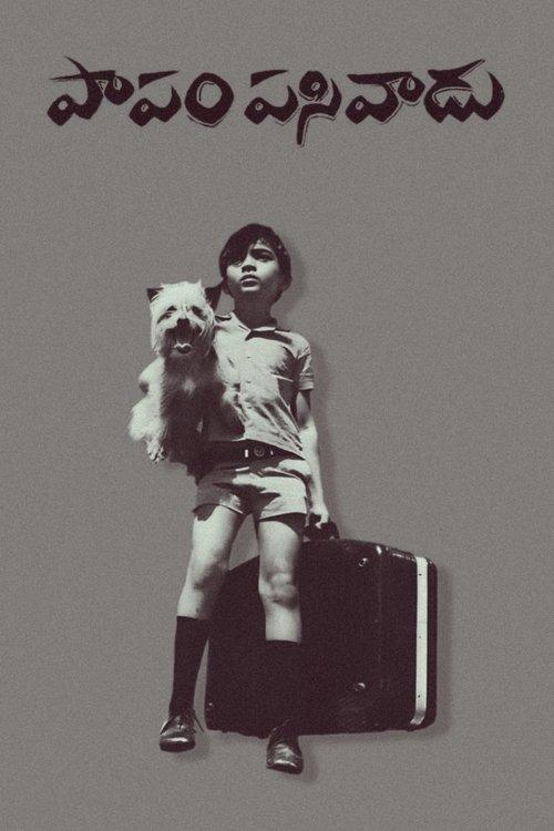 Papam Pasivadu film afişi