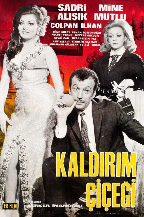 Kaldırım Çiçeği film afişi