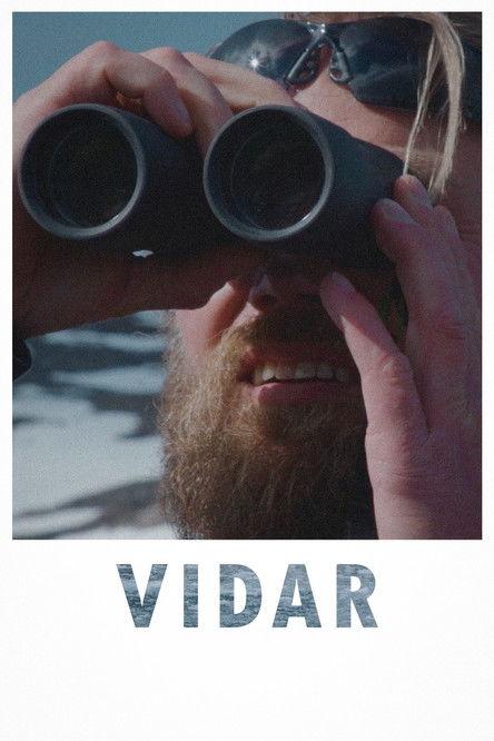 Vidar film afişi