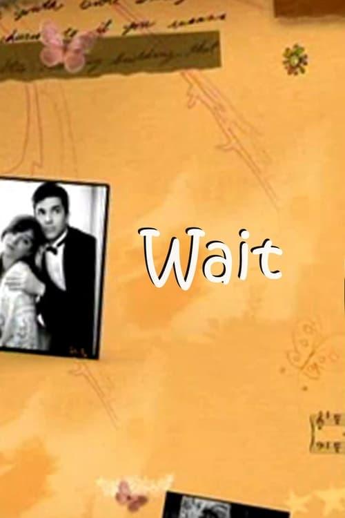 Wait film afişi