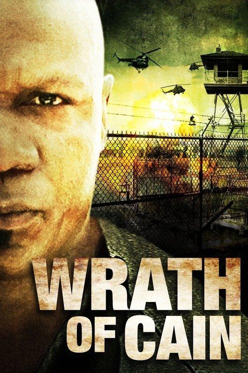The Wrath of Cain film afişi