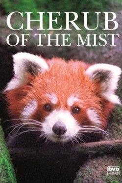 Cherub of the Mist film afişi