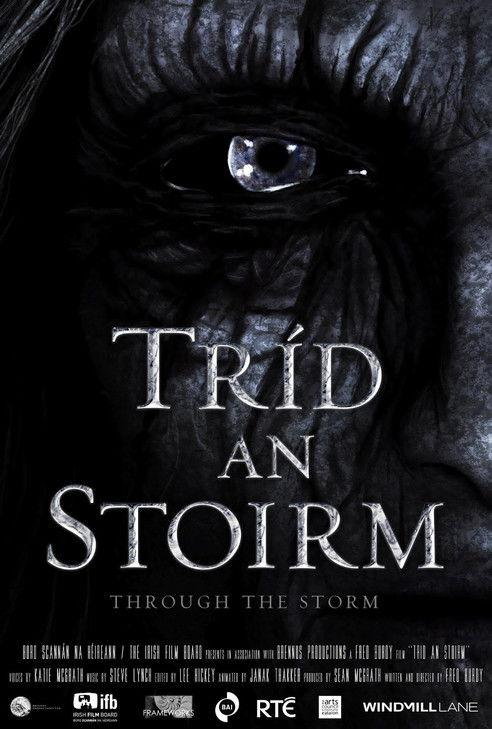 Through the Storm film afişi