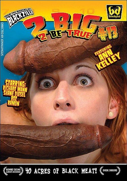 2 Big 2 Be True 13 film afişi