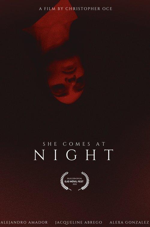 SHE COMES AT NIGHT film afişi