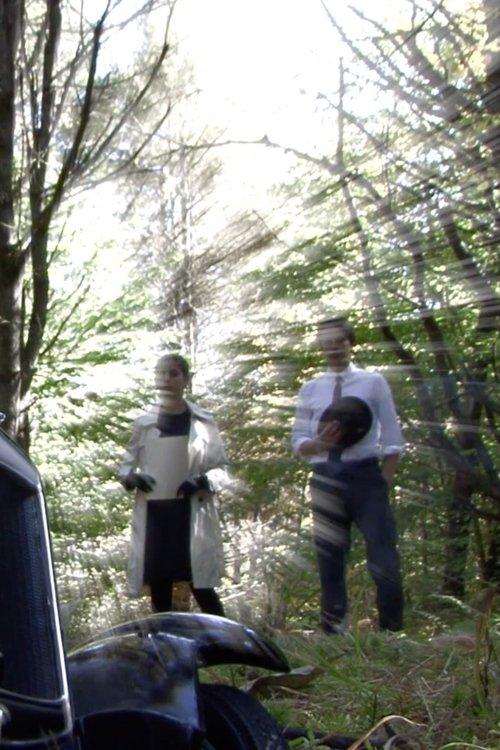 In the Hours of Darkness film afişi