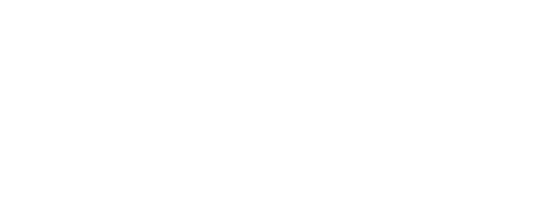 Last Stream on the Left logo