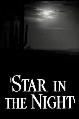 Star in the Night film afişi