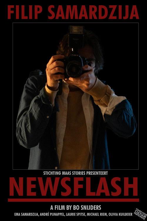 Newsflash film afişi