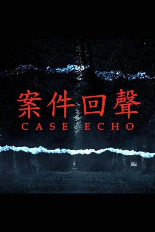 案件回聲 dizi afişi