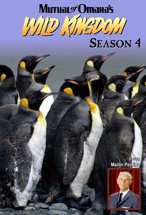 Mutual of Omaha's Wild Kingdom Sezon 4