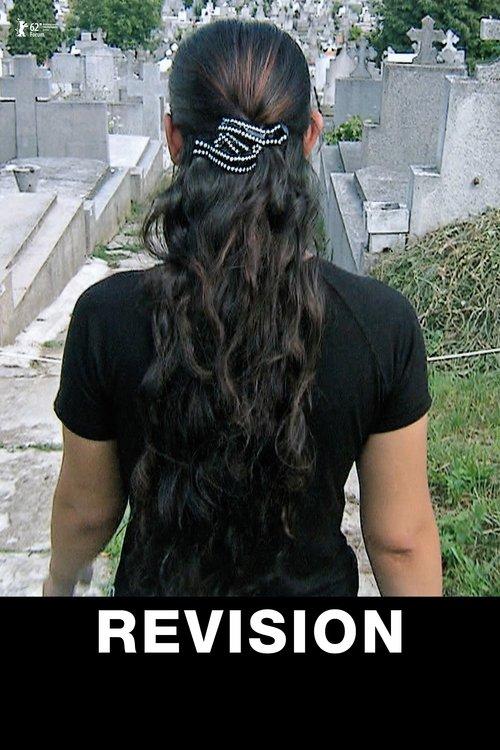 Revision film afişi