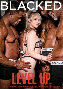 Level Up 3 film afişi