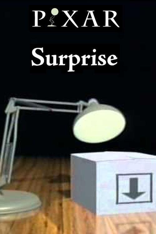 Surprise film afişi