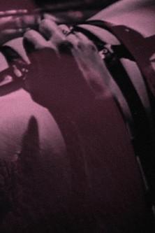 Pussy Got the Cream film afişi