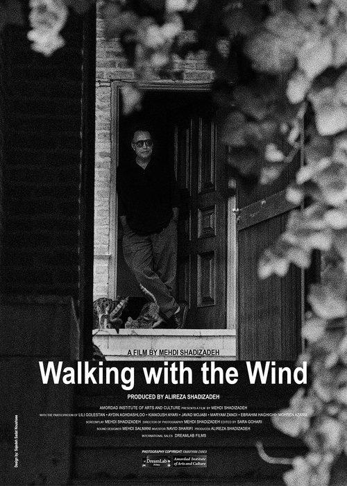 Walking With the Wind film afişi