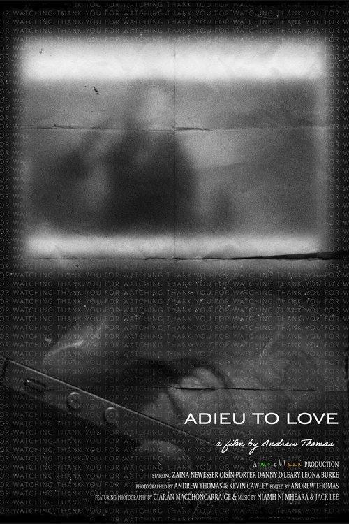 adieu to love film afişi