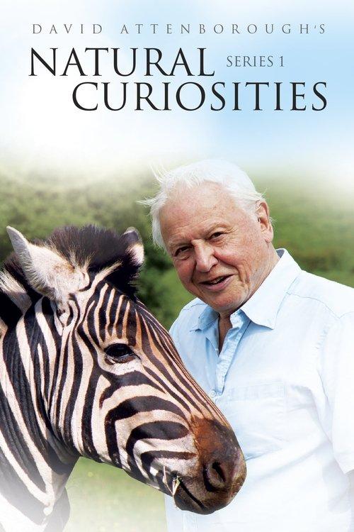 David Attenborough's Natural Curiosities Sezon 1