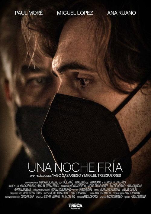 Una noche fría film afişi