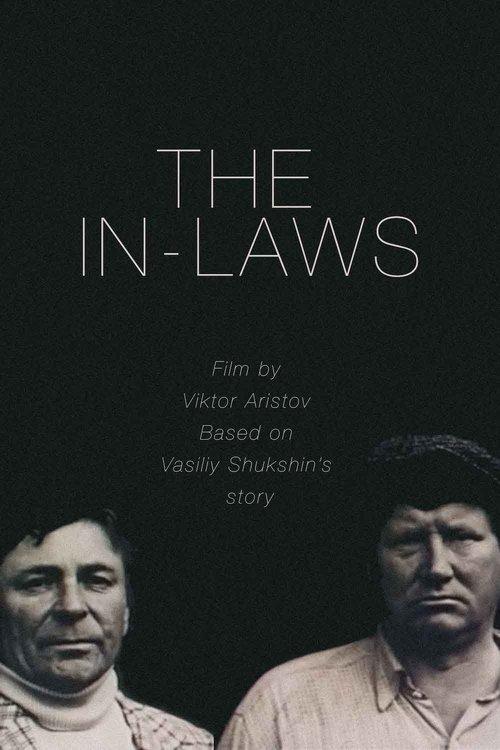 The In-Laws film afişi