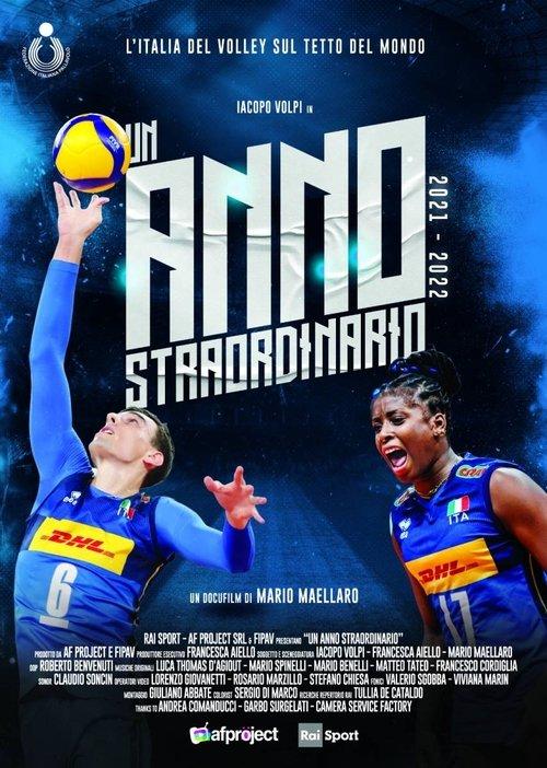 Un anno straordinario film afişi