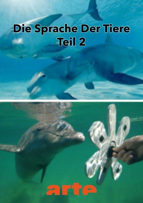 Die Eloquenz der Tiere (2/2) film afişi