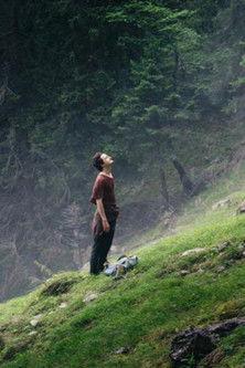 Der Wanderer film afişi