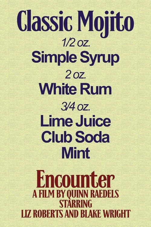 Encounter film afişi