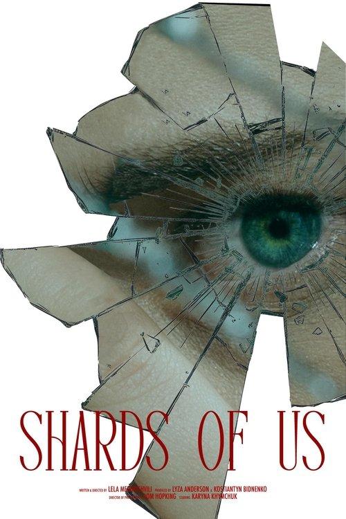Shards of Us film afişi