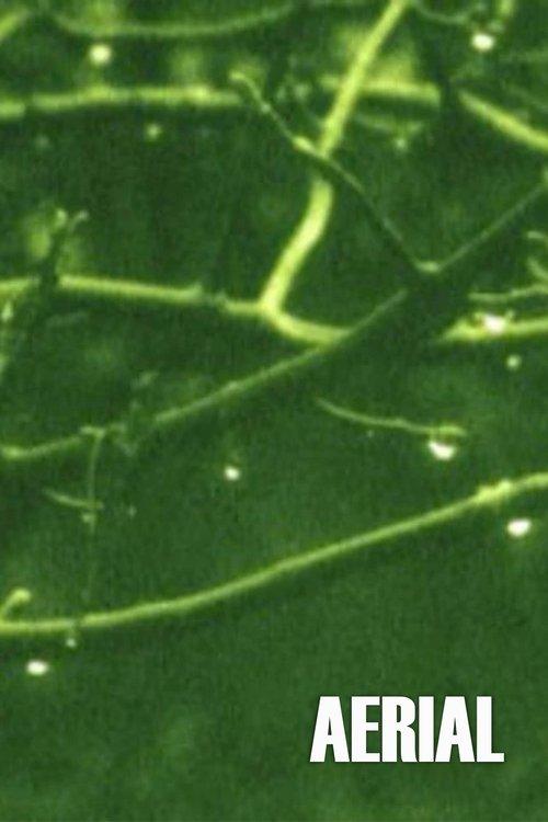Aerial film afişi