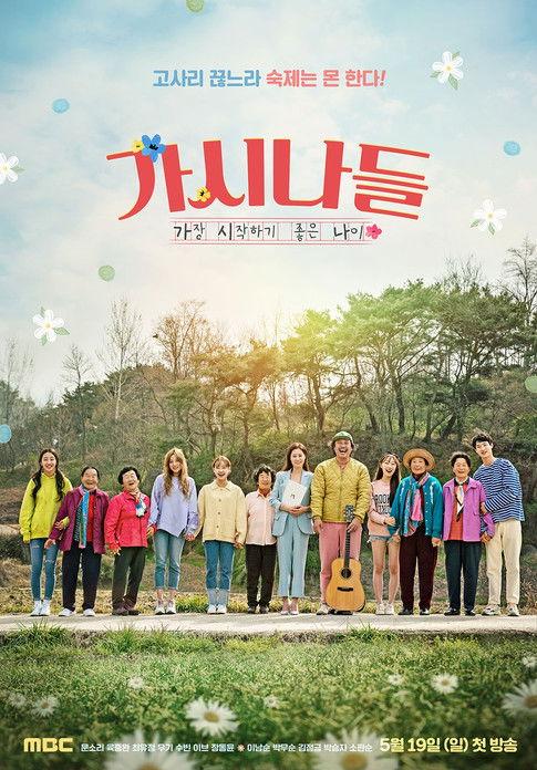 The Gashinas dizi afişi