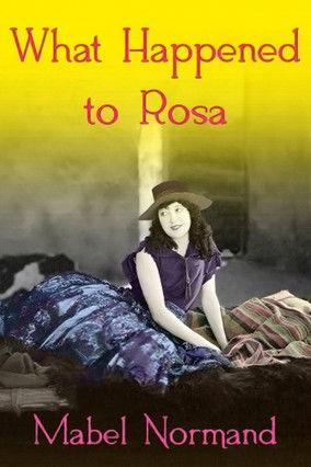 What Happened To Rosa film afişi