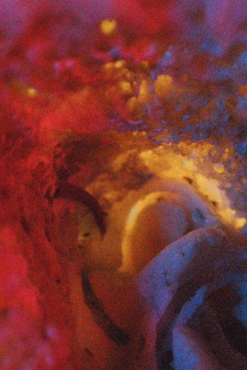 Louis and Languages film afişi