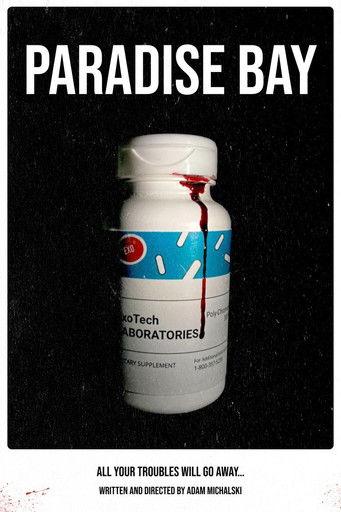 Paradise Bay film afişi