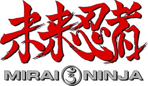 Cyber Ninja logo